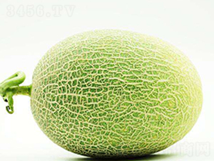 ����25-���ܹϷN��-��(��i)��N�I(y��)