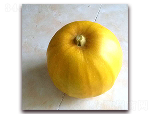 ʮ����-��ϷN��-��(��i)��N�I(y��)