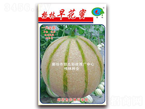 �����绨��-��ϷN��-��(��i)��N�I(y��)