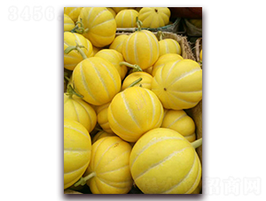 ���A958-��ϷN��-��(��i)��N�I(y��)