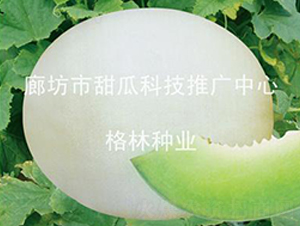 ��Z-��ϷN��-��(��i)��N�I(y��)