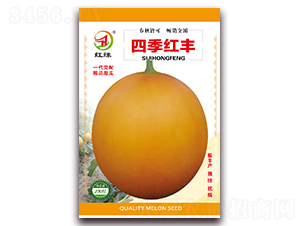 �ļ��t�S-��ϷN��-��(��i)��N�I(y��)