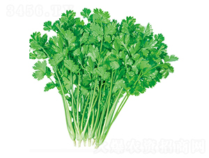 �������-��˷N��-����