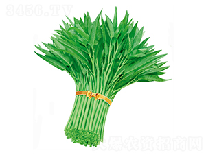 ���̩��(gu��)���~���Ĳ�-���Ĳ˷N��-����