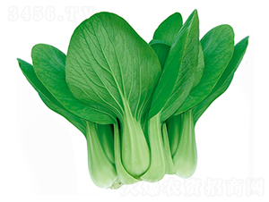 ��(zh��n)������-�๣�˷N��-����