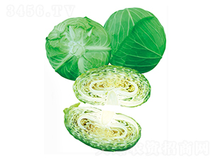 ׷�Ķ�̖(h��o)-���{(l��n)�N��-����