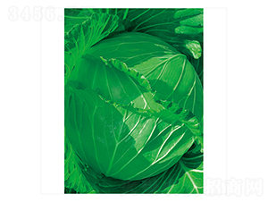 �G�S-���{(l��n)�N��-����