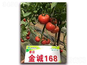 ���\168-���ѷN��-���\���r(n��ng)