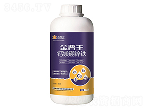 �}�V���\�F-�����S