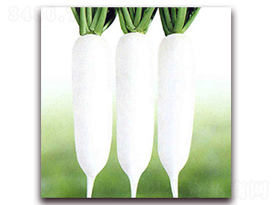 ���r(n��ng)R301-���}���N��-��˹��