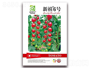 ����6̖-���ѷN��-��˹��