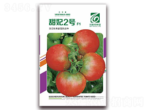 ����2̖-���ѷN��-��˹��