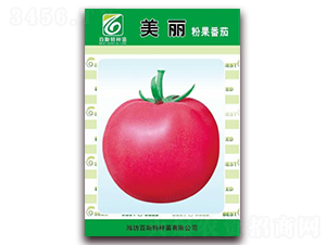 �����۹�����-���ѷN��-��˹��