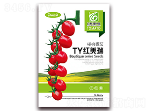 TY�t����-���ѷN��-��˹��