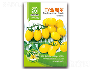 TY�𫘠�-���ѷN��-��˹��