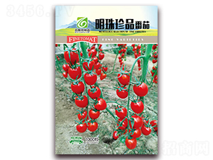 ������Ʒ-���ѷN��-��˹��