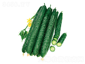 ����̖(h��o)���-�S�ϷN��-����