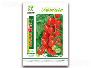 TY���ȿڸз���-���ѷN��-��˹��