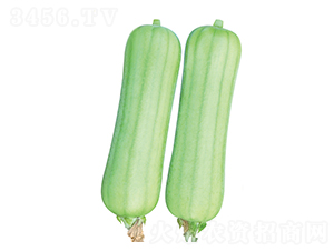 ������̖(h��o)-�z�ϷN��-����