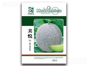 ����-��ϷN��-��˹��