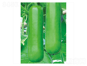 ��ư��̖(h��o)-�ѹϷN��-����