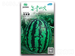 ʥ�Q��-���ϷN��-��˹��