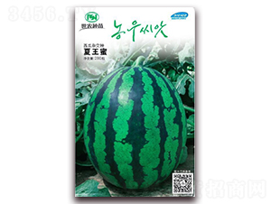 ������-���ϷN��-��˹��