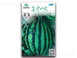 ���-���ϷN��-��˹��