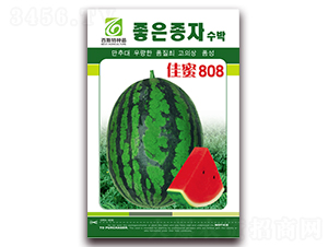 ����808-���ϷN��-��˹��