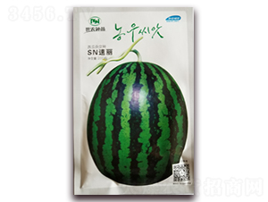 sn����-���ϷN��-��˹��