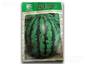 �n��206-���ϷN��-��˹��