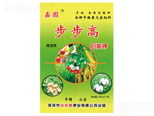 �����߾����-�Έ@