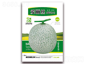 �����z-��ϷN��-��˹��