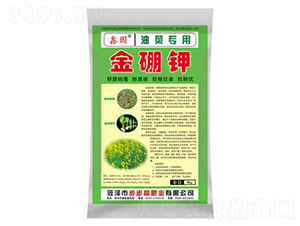 �Ͳˌ��ý����-�Έ@