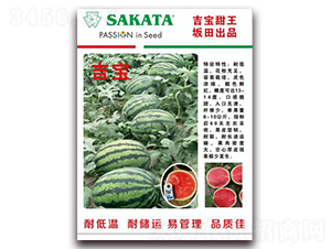 ����-���ϷN��-��˹��