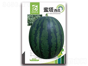 ��������-���ϷN��-��˹��