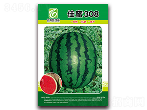 ����308-���ϷN��-��˹��