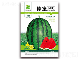 ����608-���ϷN��-��˹��