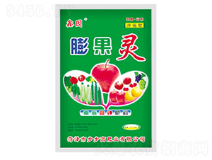 ����`-�Έ@