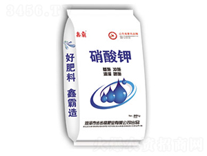 �����-�ΰ�