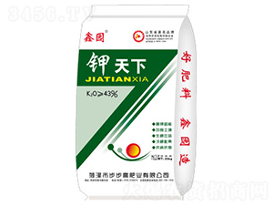 43%�����-�Έ@