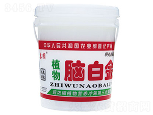 ֲ���X�׽�-�Έ@