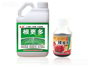 ������+�����-�Έ@