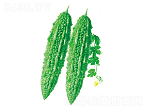 �G��-��ϷN��-����