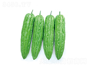 ��׿��̖-��ϷN��-����