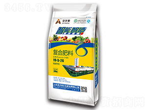 �ͺϷ���19-5-26-������