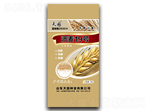 ��(j��)��19-С���N��-��@�N�I(y��)