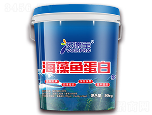 �����~����-������-ʢ������