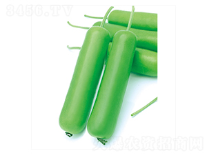 ��ư��̖(h��o)-�ѹϷN��-����