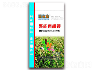 �����ЙC(j��)�-���ѽ�-���ѷʘI(y��)